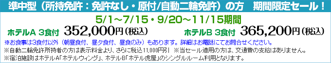 準中型セール