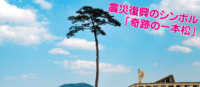 陸前高田ドライビングスクール｜合宿免許パートナーズ