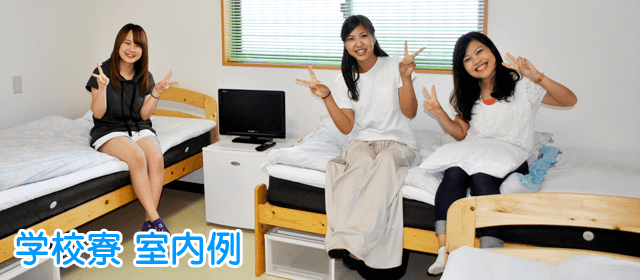 ドライビング・スクールかいなん｜合宿免許パートナーズ