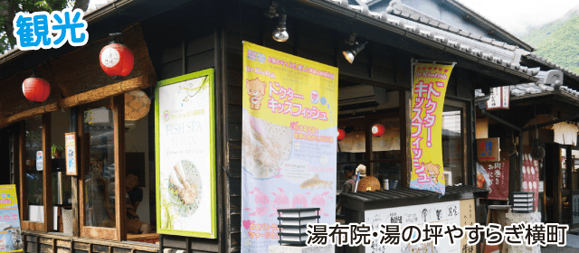 杵築自動車学校｜合宿免許パートナーズ