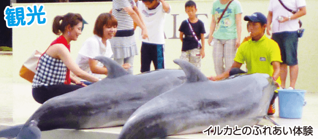 紀伊自動車学校｜合宿免許パートナーズ